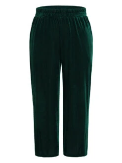 Solid Textured Velvet Elastic Waist Gathered Pants -Bloomchic Shop 210661007 zb